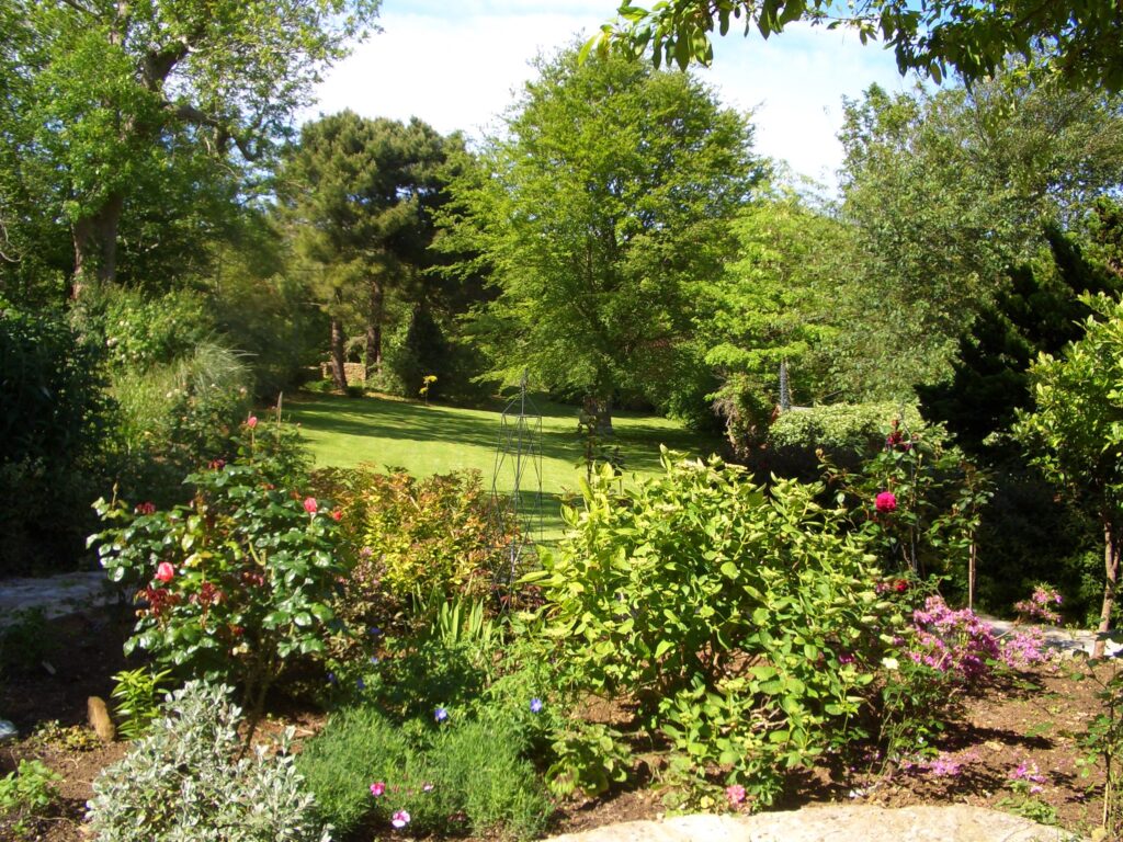 A garden after work completed showing planting and view to lawn